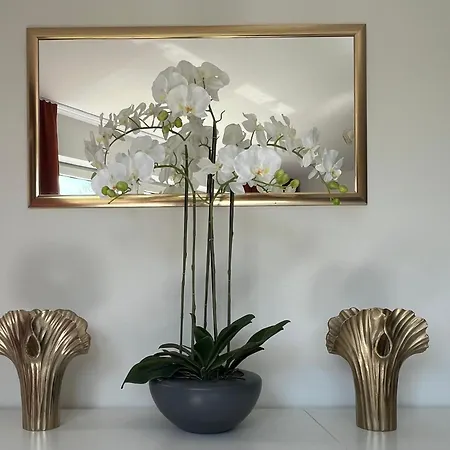 Appartement Design-terrasse-7 Personen-netflix-garage-seenah *