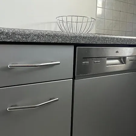 Appartement Design-terrasse-7 Personen-netflix-garage-seenah *