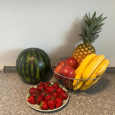 Apartman Design-terrasse-7 Personen-netflix-garage-seenah *